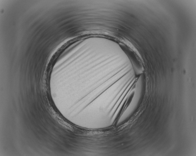 X0000083991068200703161617