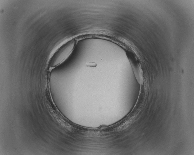 X0000083991069200703161617