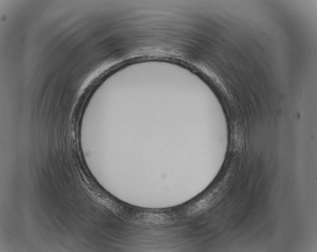 X0000083991070200703161617