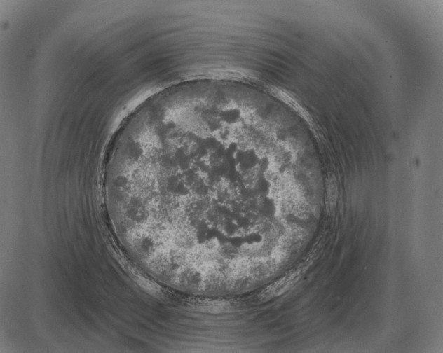 X0000083991071200703161617