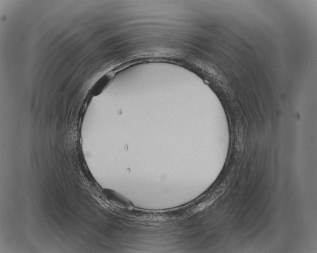 X0000083991073200703161617