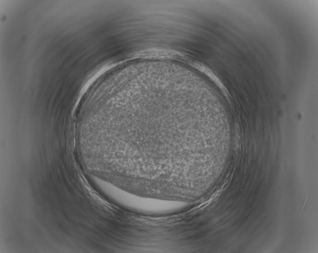 X0000083991075200703161617