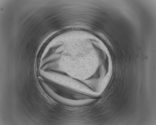 X0000083991076200703161617