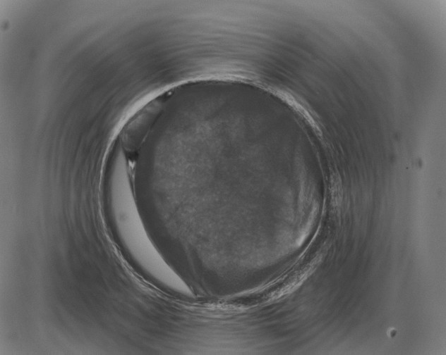 X0000083991077200703161617