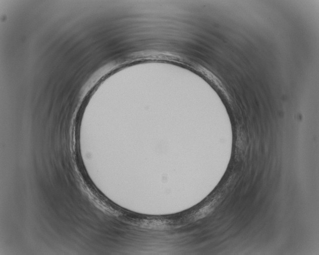 X0000083991082200703161617