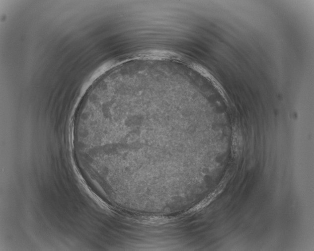 X0000083991083200703161616