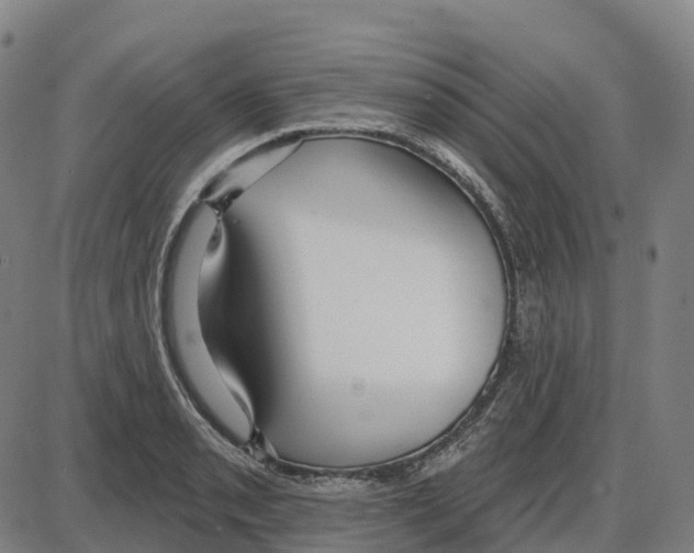 X0000083991085200703161616