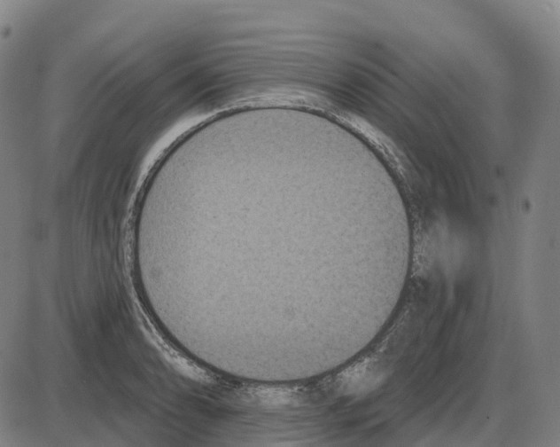 X0000083991086200703161616