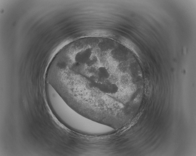 X0000083991087200703161616