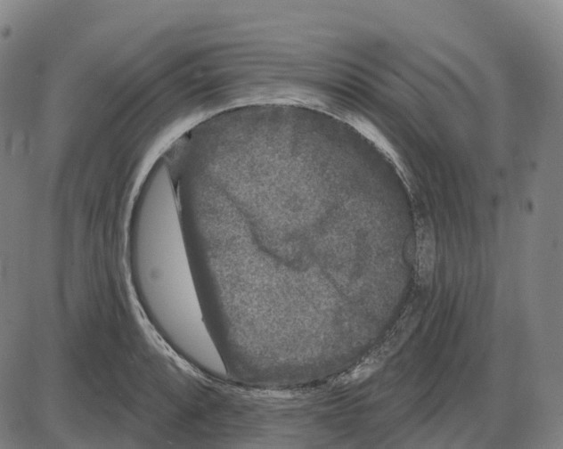 X0000083991088200703161616