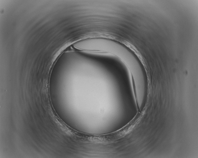 X0000083991089200703161616