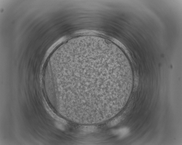 X0000083991090200703161616