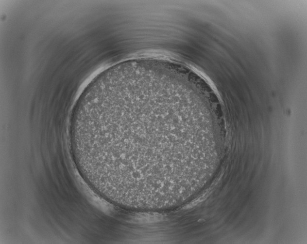 X0000083991091200703161616