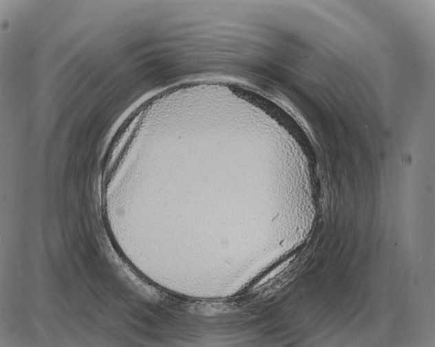 X0000083991092200703161616