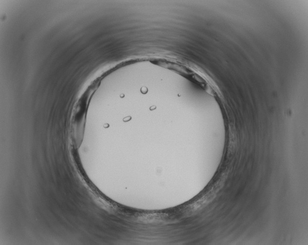 X0000083991093200703161616