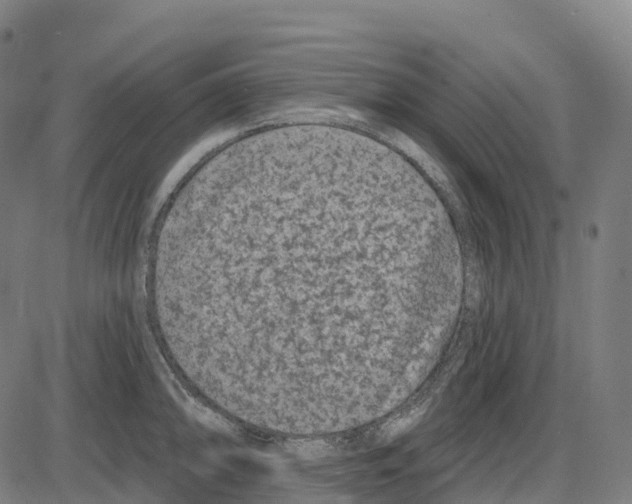 X0000083991094200703161616