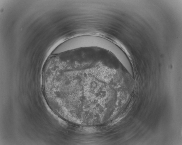 X0000083991095200703161616