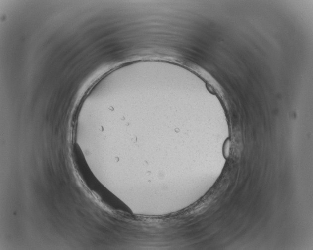 X0000083991096200703161616