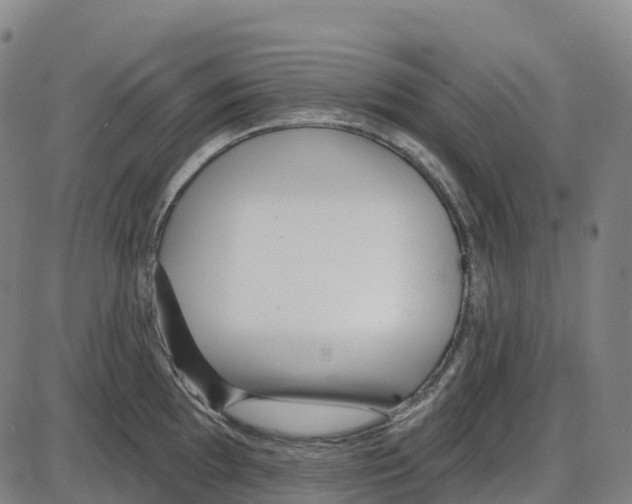 X0000083991097200703161616