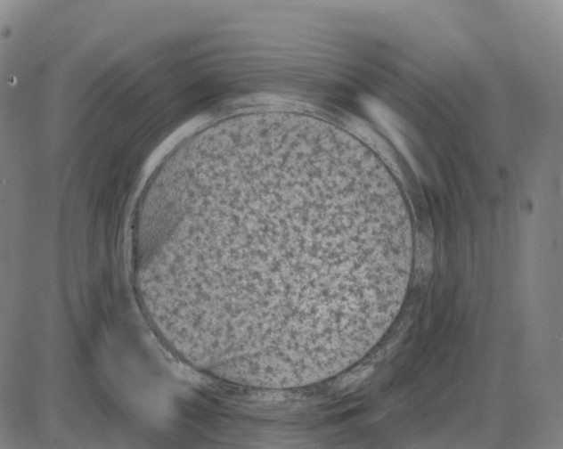 X0000083991098200703161616