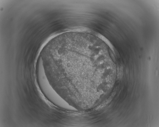 X0000083991099200703161616