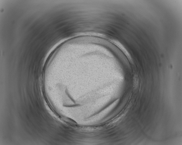 X0000083991100200703161616