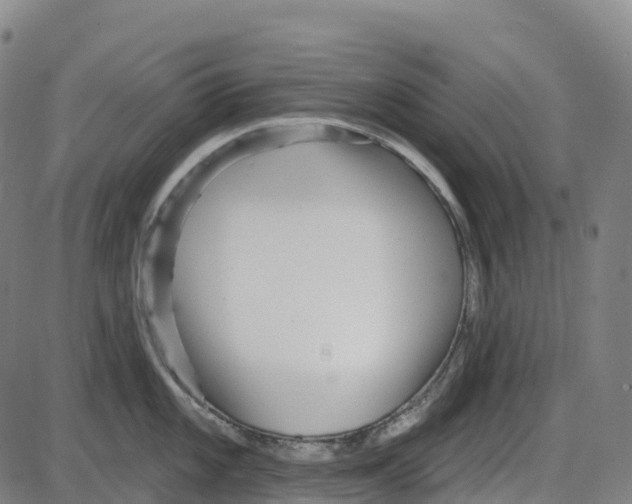 X0000083991101200703161616