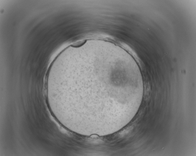 X0000083991103200703161616