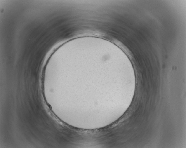 X0000083991104200703161616