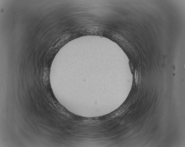 X0000083991107200703161615