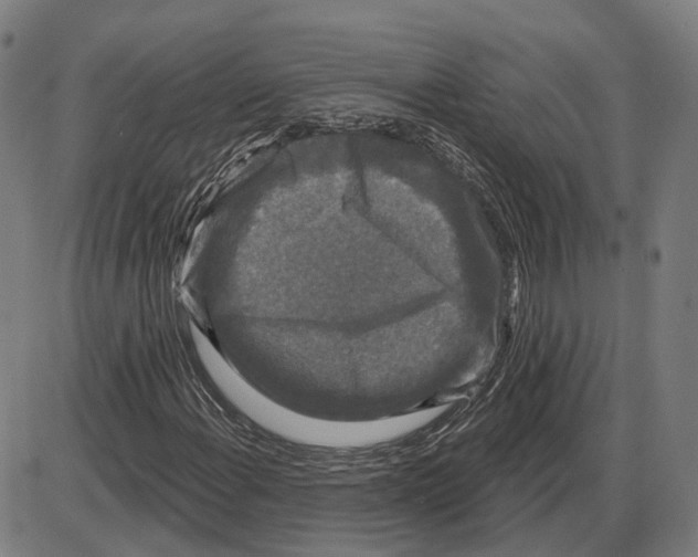 X0000083991108200703161615