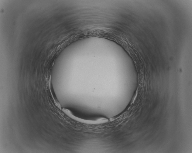 X0000083991109200703161615