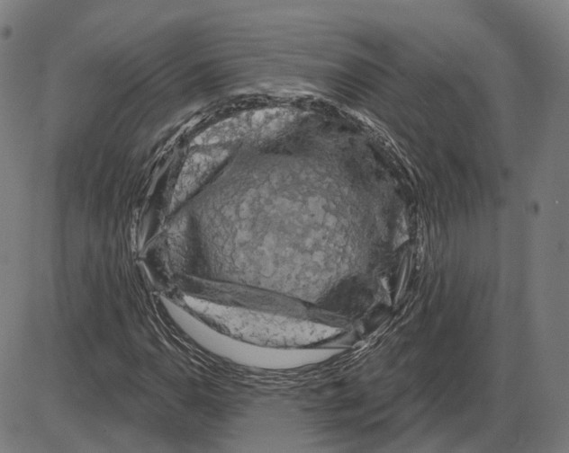 X0000083991110200703161615