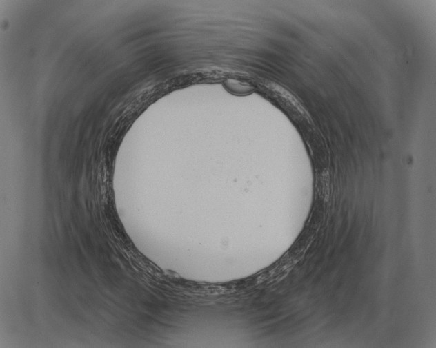 X0000083991111200703161615