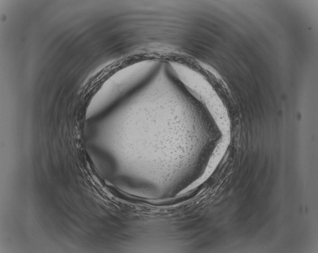 X0000083991112200703161615