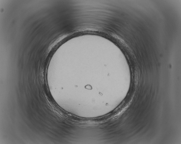 X0000083991113200703161615