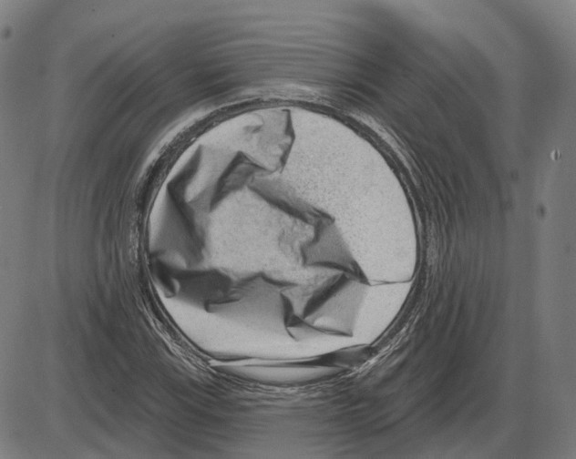 X0000083991115200703161616