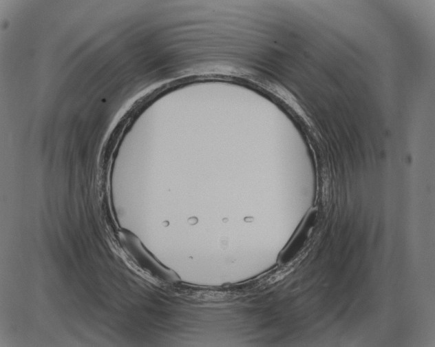 X0000083991116200703161616