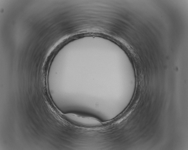 X0000083991118200703161616