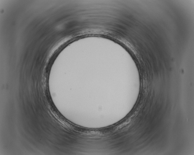 X0000083991119200703161616