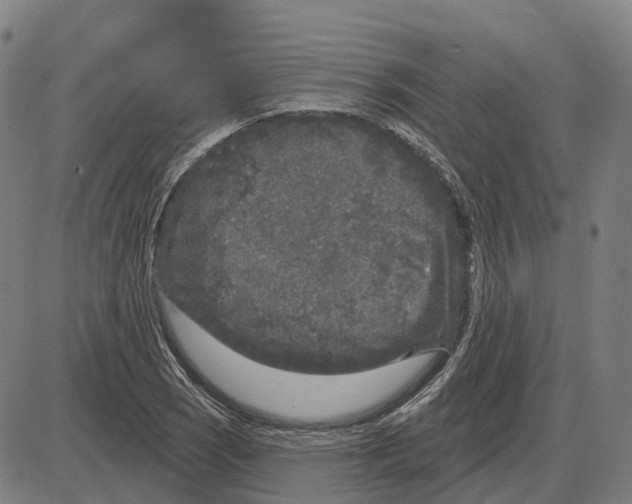 X0000083991121200703161616