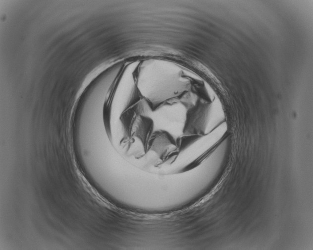 X0000083991122200703161616