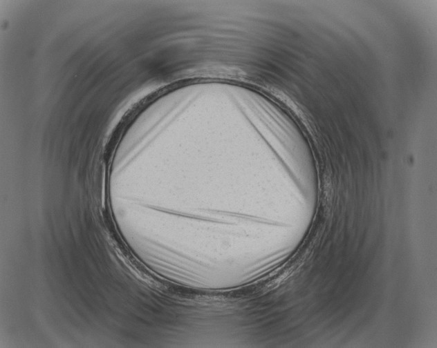 X0000083991123200703161616