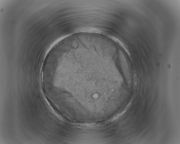 X0000083991125200703161616