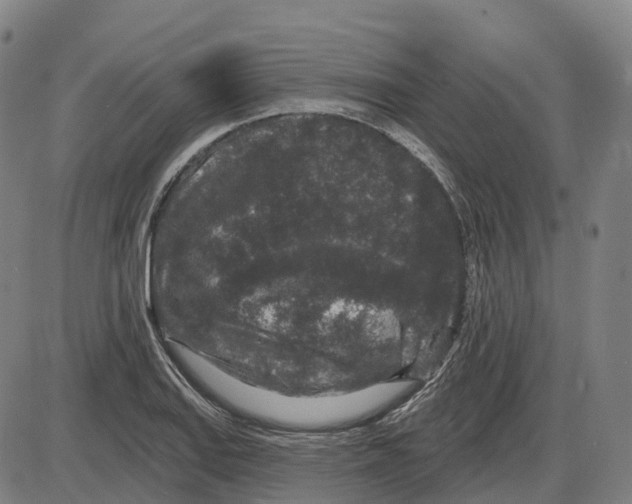 X0000083991127200703161616