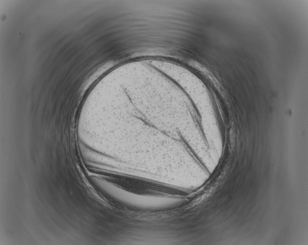 X0000083991129200703161616