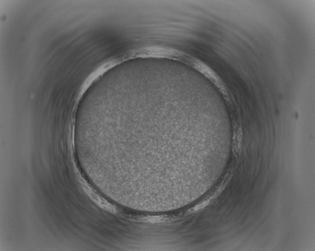 X0000083991130200703161616