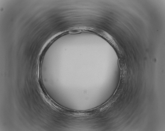 X0000083991132200703161616