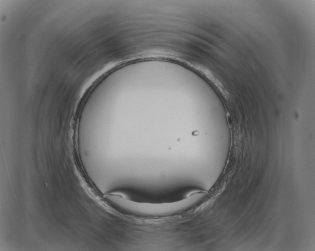 X0000083991134200703161616