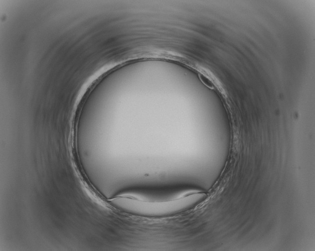 X0000083991136200703161616